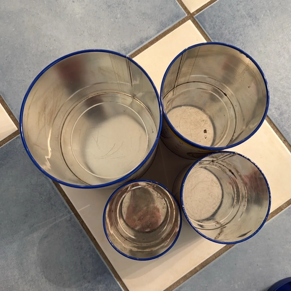 Vintage Rosenthal Netter Blue & Yellow Bird 4 Pc. Tin Canister Set